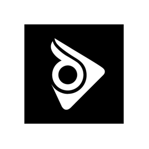 Digitsole brand logo for digitsole.com