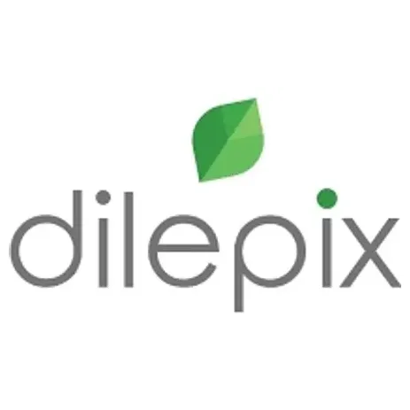 Dilepix brand logo for dilepix.com