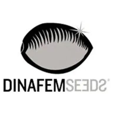 Dinafem brand logo for dinafem.org