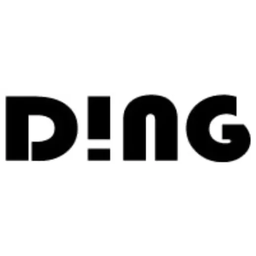 Dinglights brand logo for dinglights.com