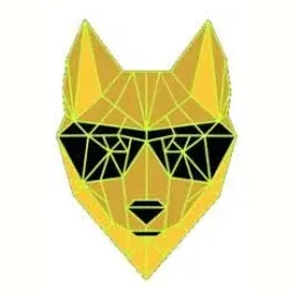 Dingo Token brand logo for dingotoken.com