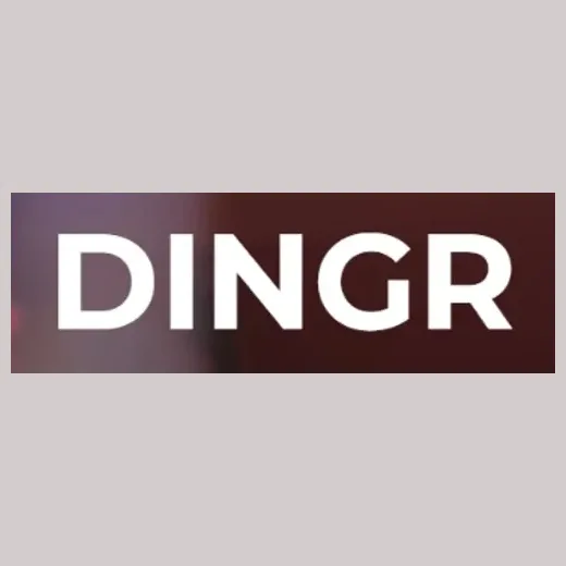 Dingr brand logo for dingr.ai