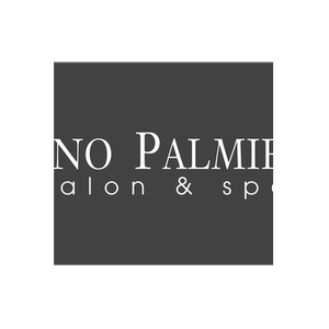 Dino Palmieri brand logo for dinopalmierisalon.com