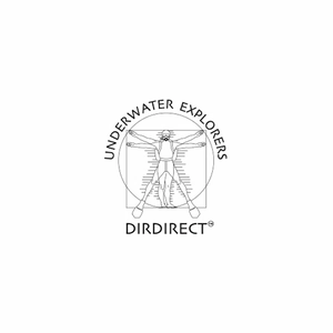 dirdirect brand logo for dirdirect.com