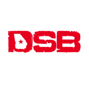 dirtysouthbats brand logo for dirtysouthbats.com
