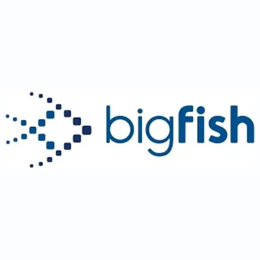 discoverbigfish brand logo for discoverbigfish.com