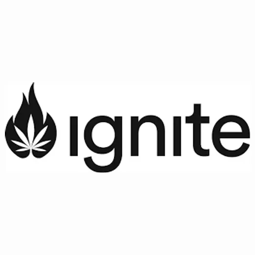 discoverignite brand logo for discoverignite.com