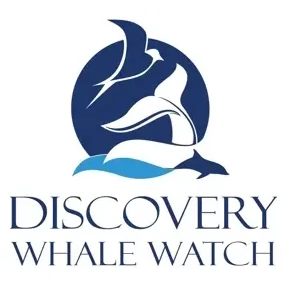 discoverywhalewatch brand logo for discoverywhalewatch.com