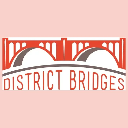 District Bridges brand logo for districtbridges.org