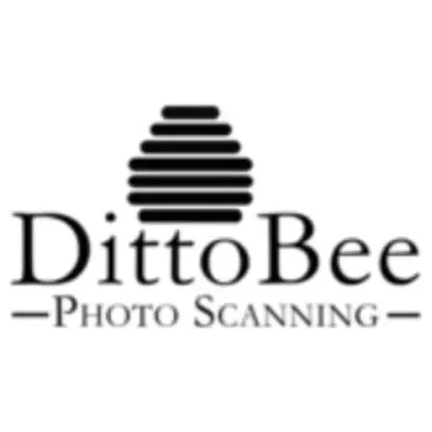 Ditto Bee brand logo for dittobee.com
