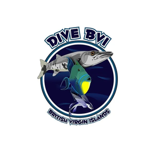 Dive BVI brand logo for divebvi.com