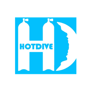 Dive Gear brand logo for divegear.org