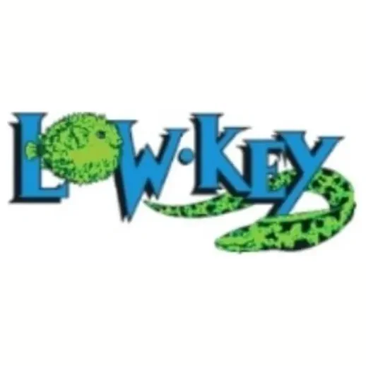 Dive Low Key brand logo for divelowkey.com