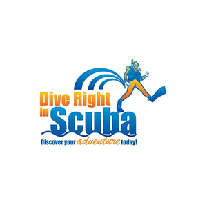 Dive Right in Scuba brand logo for diverightinscuba.com