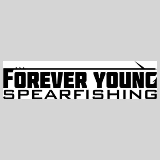 Dive Young brand logo for diveyoung.com