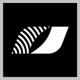 Divergence brand logo for divergence-protocol.com
