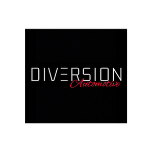 Diversion Stores brand logo for diversionstores.co.uk