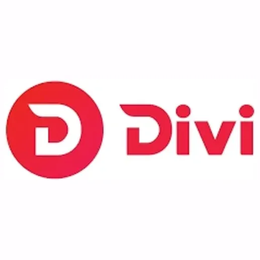Divi Project brand logo for diviproject.org