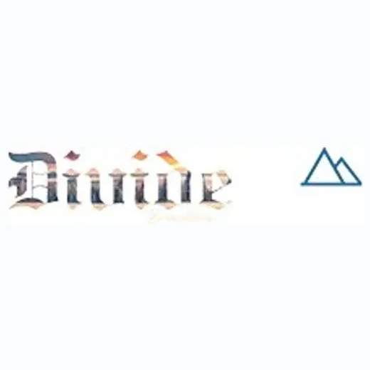 Divide Boardshop brand logo for divideboardshop.com
