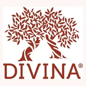 divinamarket brand logo for divinamarket.com