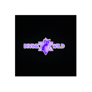 Divine & Wild brand logo for divineandwild.com