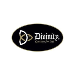 divinityboutique brand logo for divinityboutique.com