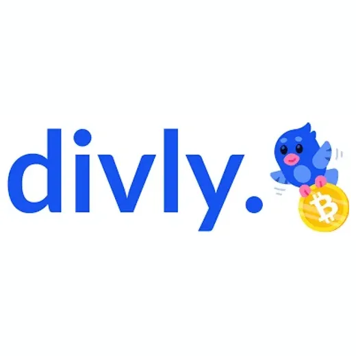 Divly brand logo for divly.com