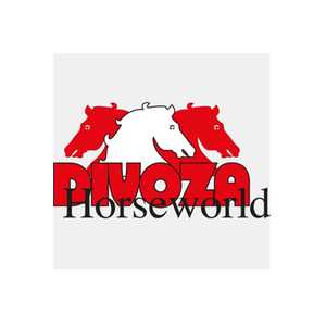 Divoza brand logo for divoza.com