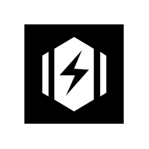 DIY Electric Skateboard brand logo for diyelectricskateboard.com