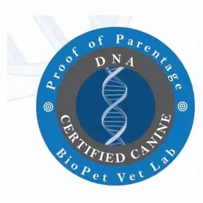 DNA Proof of Parentage brand logo for dnaproofofparentage.com