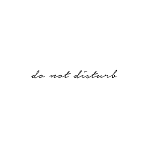 Do Not Disturb brand logo for donotdisturb.shop