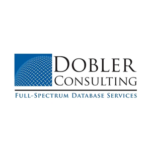 Dobler Consulting brand logo for doblerconsulting.com