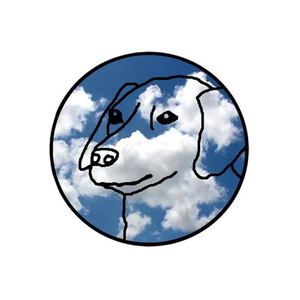 Dogecore brand logo for dogecore.com