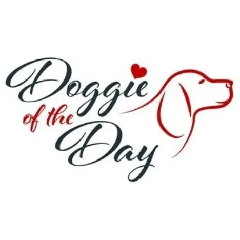 Doggie of the Day brand logo for doggieoftheday.com