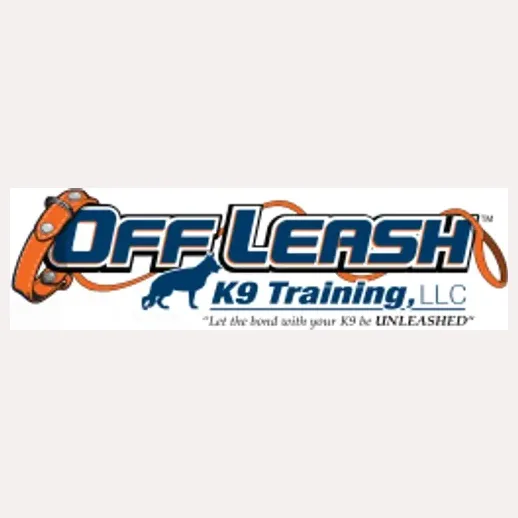 dogtrainermadison brand logo for dogtrainermadison.com