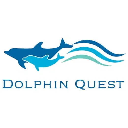 Dolphin Quest brand logo for dolphinquest.com