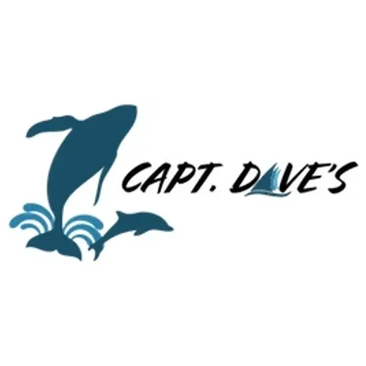 Dolphin Safari brand logo for dolphinsafari.com