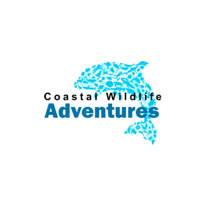 Dolphin & Snorkel Tours brand logo for dolphinandsnorkeltours.com