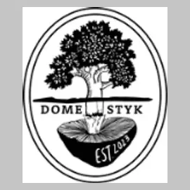 domestyk brand logo for domestyk.com