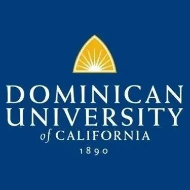 Dominican Salon brand logo for dominicancaonline.com