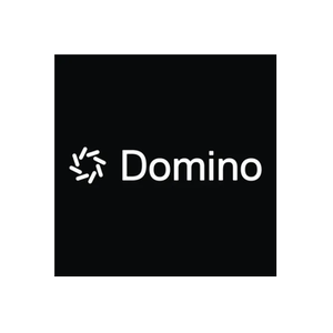 Domino AI brand logo for domino.ai