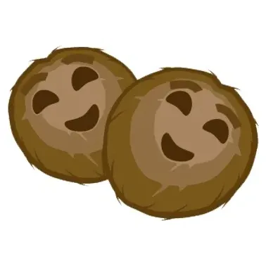 Double Coconut brand logo for doublecoconut.com