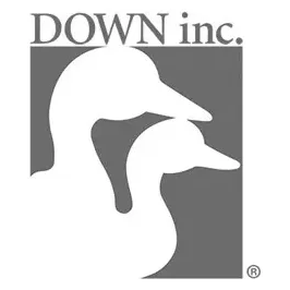 Down Inc. brand logo for downinc.com