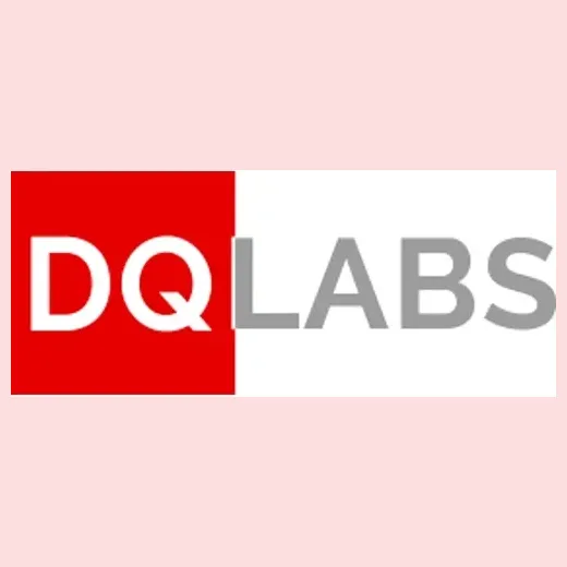 DQLabs brand logo for dqlabs.ai