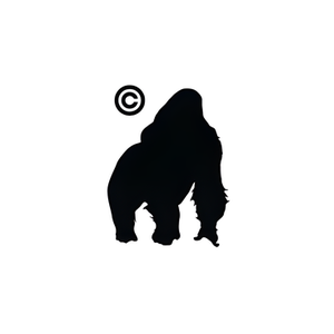 Dr. Cape brand logo for drcapeparel.com