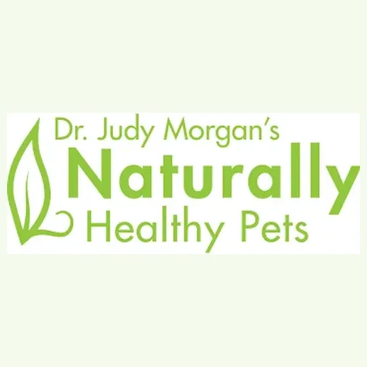 Dr. Judy Morgan brand logo for drjudymorgan.com