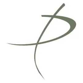 Dr. Yanes brand logo for dryanes.com