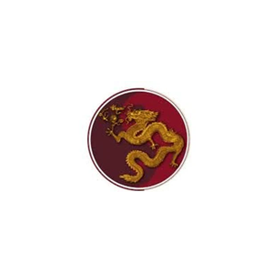 dragonacu brand logo for dragonacu.com