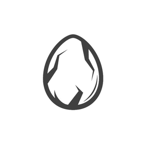 Dragonereum brand logo for dragonereum.io