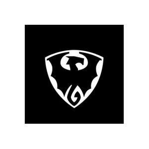 Draken Watches brand logo for drakenwatches.com